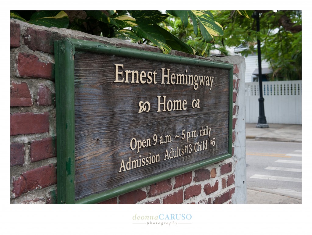 It was fun to visit Ernest Hemingway's home in Key West.  What did I take away from the tour??  Hemingway loved writing, women, booze and CATS!!  There were cats everywhere on this property!