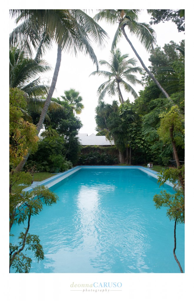 Ernest Hemingway's pool